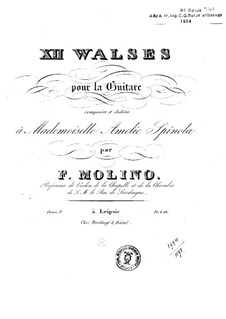 Twelve Waltzes, Op.9: Para Guitarra by Francesco Molino