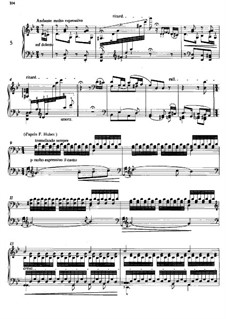 Album of Wanderer, S.156: Book II, No.5 by Franz Liszt