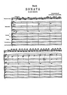 Sonata for Violin and Basso Continuo in E Minor, BWV 1023: Arrangement for organ and strings by Johann Sebastian Bach