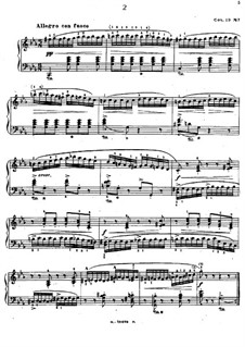 Twelve Etudes, Op.19: estudo No.7 by Edmund Neupert