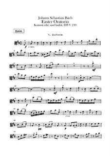 Easter Oratorio, BWV 249: parte viola by Johann Sebastian Bach