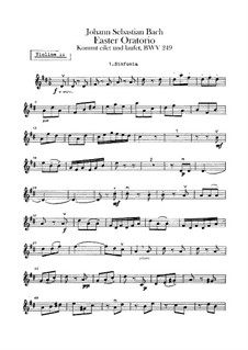Easter Oratorio, BWV 249: violino parte II by Johann Sebastian Bach