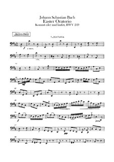 Easter Oratorio, BWV 249: parte violoncelo e contrabaixo by Johann Sebastian Bach