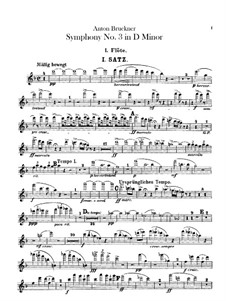 Symphony No.3 in D Minor, WAB 103: parte de flautas by Anton Bruckner