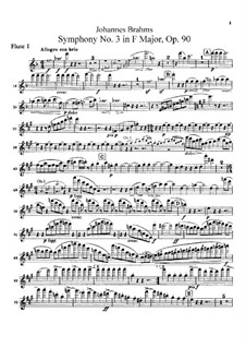 Complete set: parte de flautas by Johannes Brahms