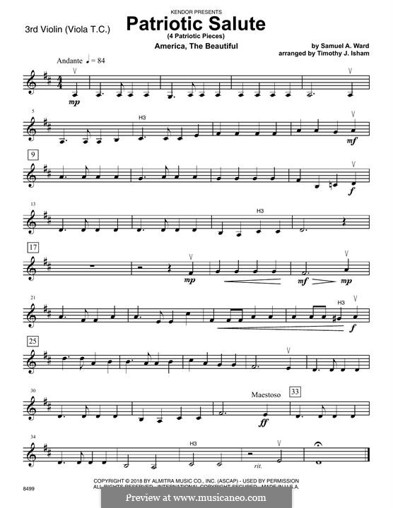 Patriotic Salute (4 Patriotic Pieces): Violin 3 (Viola T.C.) part by folklore