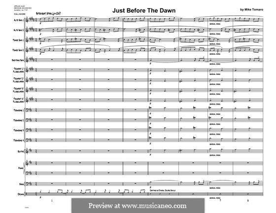 Just Before the Dawn: partitura completa by Mike Tomaro
