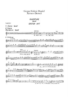 Complete Opera: parte de flautas by Georg Friedrich Händel