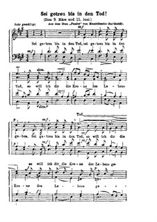 Sei getreu bis in den Tod: Sei getreu bis in den Tod by Felix Mendelssohn-Bartholdy