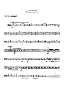 Overture: Parte contrabaixo by Vincenzo Bellini