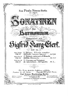 Sonatina for Harmonium No.3 in A Minor, Op.14: Sonatina for Harmonium No.3 in A Minor by Sigfrid Karg-Elert