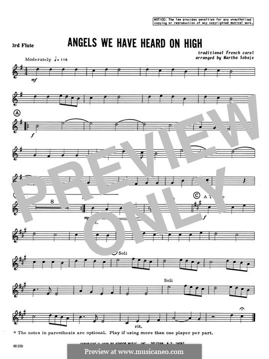 Woodwind Ensemble version: 3rd C Flute part by folklore
