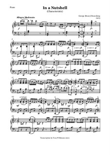 In a Nutshell - Characteristic Piece: In a Nutshell - Characteristic Piece by George Rosey