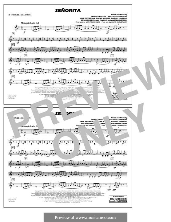 Señorita (Shawn Mendes & Camila Cabello) Marching Band version: Bb Horn/Flugelhorn part by Benjamin Levin, Alexandra Tamposi, Shawn Mendes, Magnus August Hoiberg, Camila Cabello