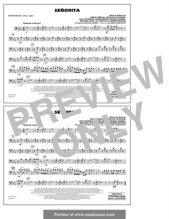 Señorita (Shawn Mendes & Camila Cabello) Marching Band version: Baritone B.C part by Benjamin Levin, Alexandra Tamposi, Shawn Mendes, Magnus August Hoiberg, Camila Cabello