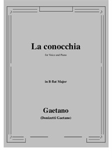 La conocchia: B flat Maior by Gaetano Donizetti