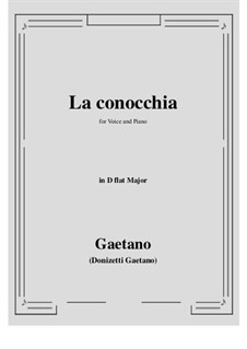 La conocchia: D flat Major by Gaetano Donizetti