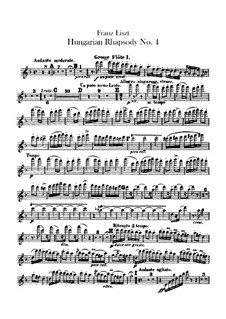 No.12 in C Sharp Minor, for Orchestra, S.359/4: parte de flautas by Franz Liszt