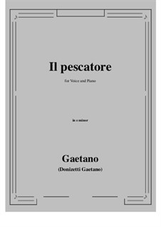 Il pescatore: E minor by Gaetano Donizetti