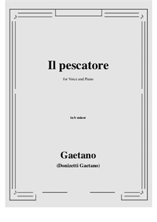 Il pescatore: B minor by Gaetano Donizetti
