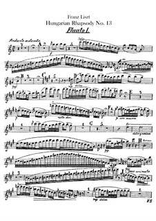 No.13 in A Minor, S.244: Para orquesta - partes em flautas by Franz Liszt