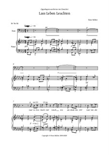 Lass' Leben leuchten für Bass & Piano: Lass' Leben leuchten für Bass & Piano by Hans Bakker
