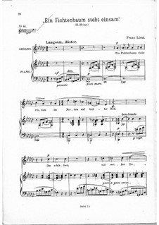 Ein Fichtenbaum steht einsam, S.309: Deutscher Text by Franz Liszt