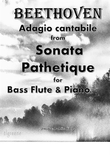 Movement II: For bass flute and piano by Ludwig van Beethoven