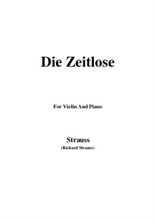 No.7 Die Zeitlose: para violino by Richard Strauss