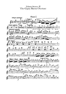 The Gypsy Baron: abertura - parte flautas by Johann Strauss (Sohn)