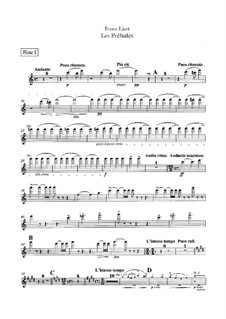 Symphonic Poem No.3 'Les préludes' for Orchestra, S.97: parte de flautas by Franz Liszt