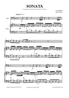 Sonata for Flute and Harpsichord No.1 in B Minor, BWV 1030: para Violoncelo e piano by Johann Sebastian Bach