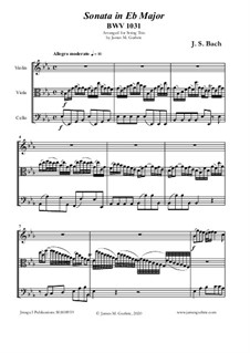 Sonata for Flute and Harpsichord No.2 in E Flat Major, BWV 1031: para trio de cordas by Johann Sebastian Bach