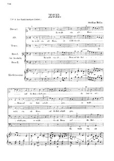 Es wollt ein alt Mann auf die Bulschaft gan: Für Stimmen und Klavier by Stephan Mahu