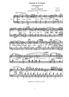 Sonata for Arpeggione (or Cello) and Piano in A Minor, D.821 por F ...