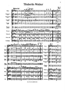 Little Doves Waltz, Op.1: Little Doves Waltz by Johann Strauss Sr.