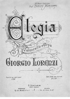 Elegy for Cello and Harp: Elegy for Cello and Harp by Giorgio Lorenzi