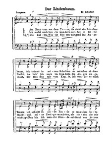 No.5 Der Lindenbaum (The Linden Tree): para vozes by Franz Schubert