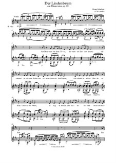 No.5 Der Lindenbaum (The Linden Tree): Para voz e violão by Franz Schubert