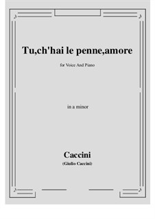 Tu, ch'hai le penne, Amore: A minor by Giulio Caccini