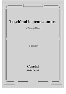 Tu, ch'hai le penne, Amore: E minor by Giulio Caccini