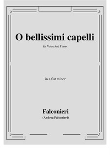 O bellissimi capelli: A flat minor by Andrea Falconieri
