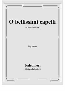 O bellissimi capelli: G minor by Andrea Falconieri