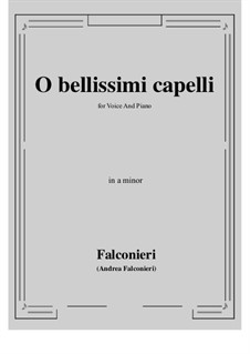 O bellissimi capelli: A minor by Andrea Falconieri