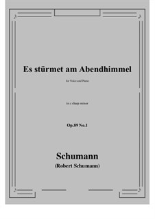 Six Songs, Op.89: No.1 Es stürmet am Abendhimmel (c sharp minor) by Robert Schumann
