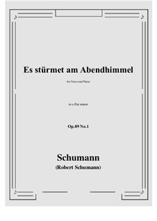 Six Songs, Op.89: No.1 Es stürmet am Abendhimmel (e flat minor) by Robert Schumann