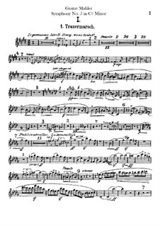 Symphony No.5 in C Sharp Minor: parte de flautas by Gustav Mahler