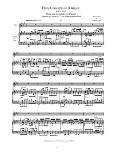 Concerto for Harpsichord and Strings No.4 in A Major, BWV 1055: Version for flute and cembalo (or piano) by Johann Sebastian Bach