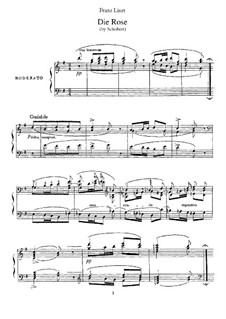The Rose, D.745 Op.73: Para Piano by Franz Schubert