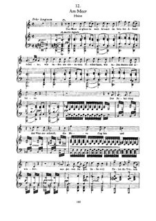 No.12 Am Meer (By the Sea): Para vocais e piano by Franz Schubert